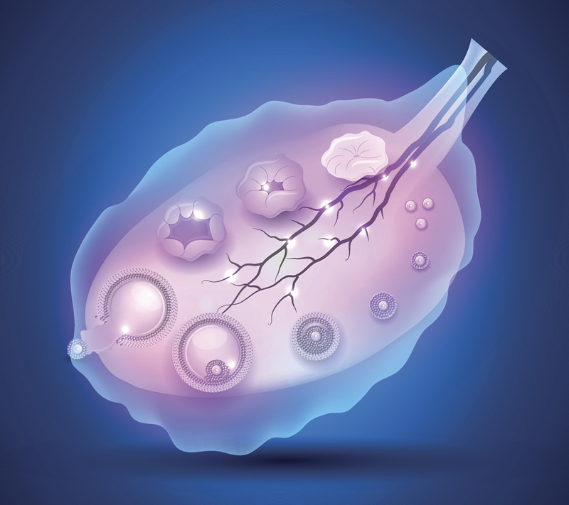 为什么国内私立机构做三代试管花费这么贵，能细说一下吗？